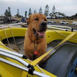 Meet your Posher, House of Style